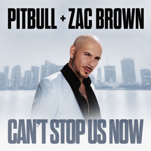 Pitbull Can't Stop Us Now