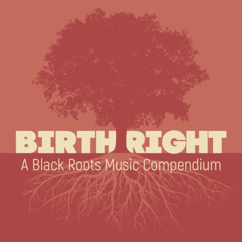 Preservation Hall Jazz Band Birthright A Black Roots Musi