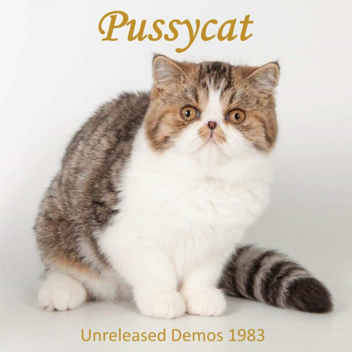 Pussycat Unreleased Demos 1983