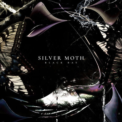 Silver Moth Black Bay