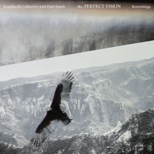 Soundwalk Collective The Perfect Vision Reworkings