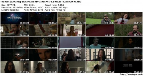 The Hunt 2020 1080p BluRay x265 HEVC 10bit AC 3 5.1 MSubs KINGDOM RG preview