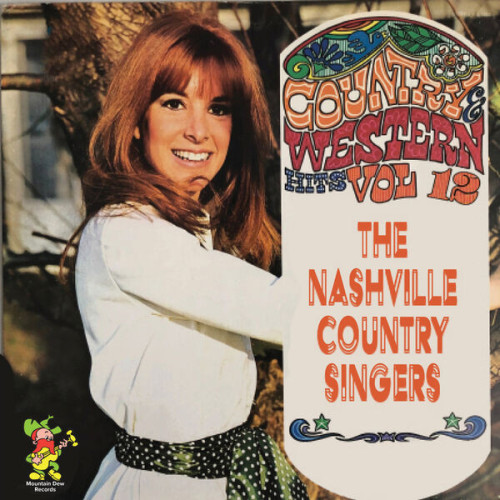 The Nashville Country Singers Country & Western Top Hits, Vol.12