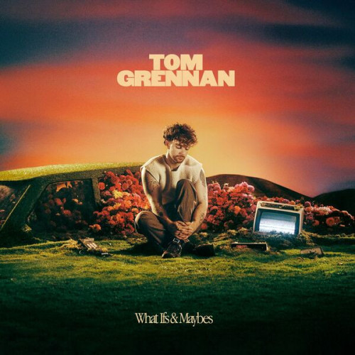 Tom Grennan What Ifs & Maybes