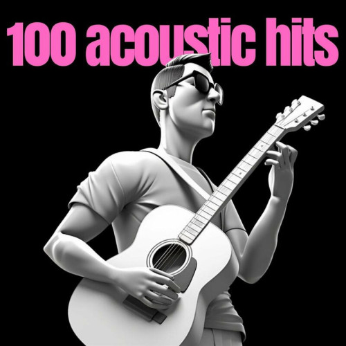 Various Artists 100 acoustic hits