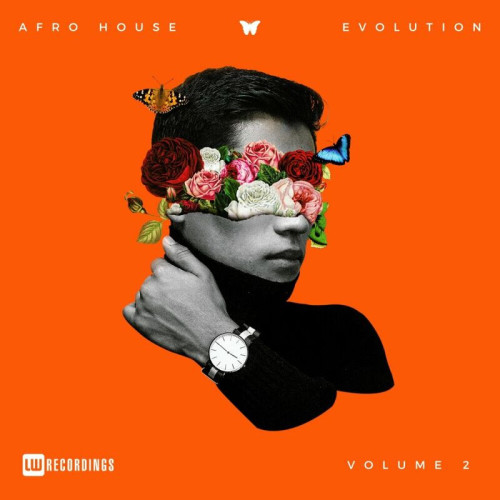 Various Artists Afro House Evolution, Vol. 02