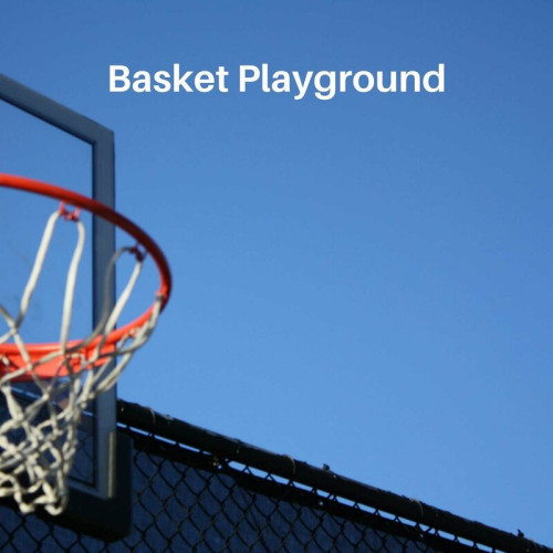 Various Artists Basket Playground