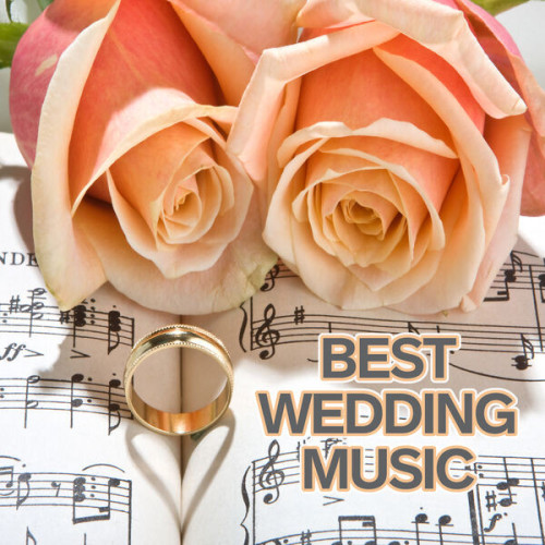 Various Artists Best Wedding Music
