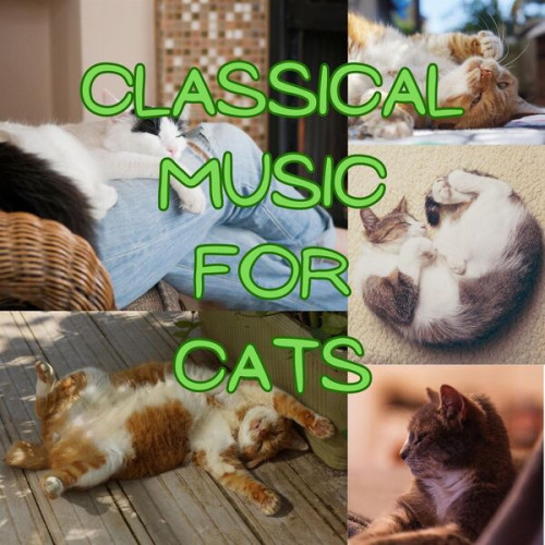 Various Artists Classical Music for Cats