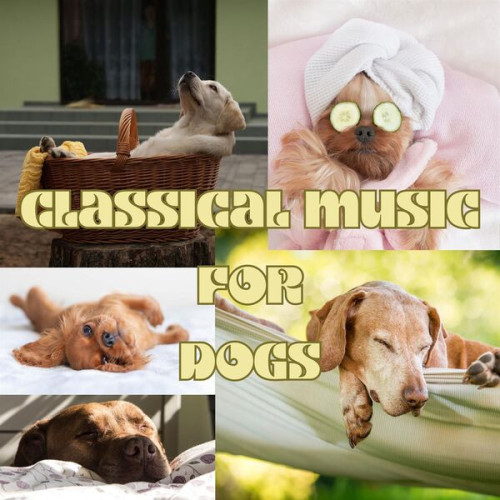 Various Artists Classical Music for Dogs