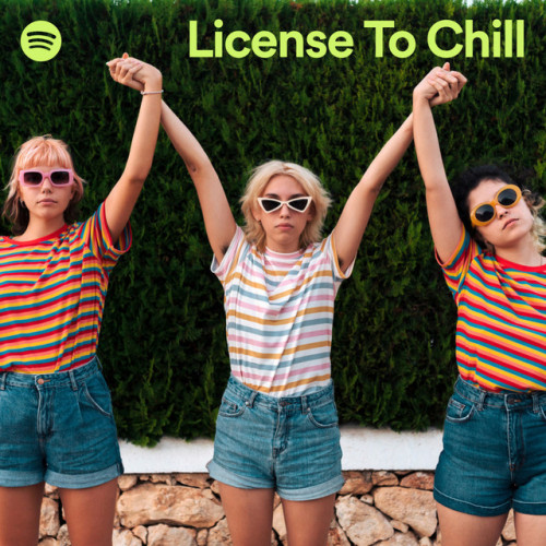 Various Artists License To Chill