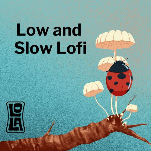 https://shotcan.com/images/Various-Artists---Low-and-Slow-Lofi-by-Lolafbdb8eec8a5dfdd2.jpg