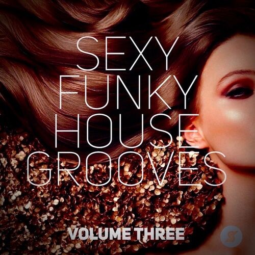 Sexy Funky House Grooves Volume Three (2022)[Mp3][320kbps][UTB]