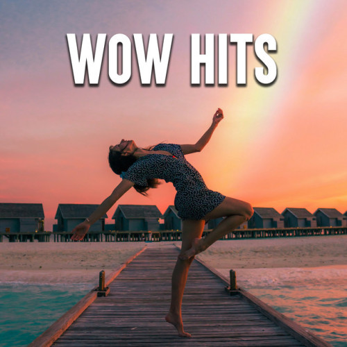 Various Artists Wow Hits