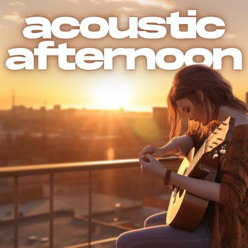 Various Artists acoustic afternoon