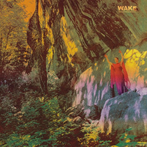 Wake 