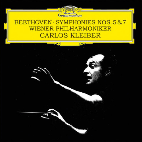 Wiener Philharmonic Orchestra