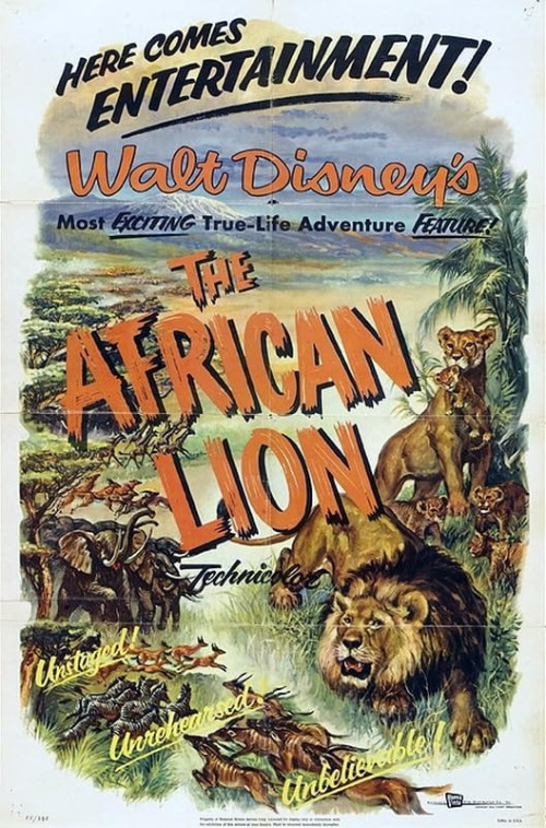 The African Lion 1955 720p 10bit WEBRip x265 budgetbits