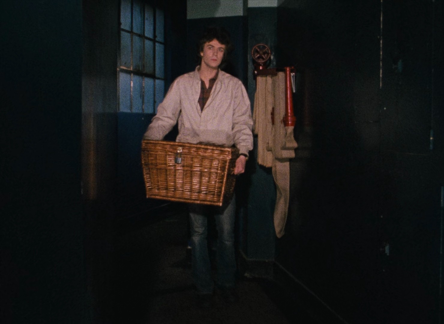 Basket Case 1982 Arrow Remastered 1080p BluRay x265 HEVC 10bit AAC 1 0 commentary HeVK