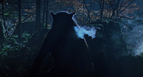 dog soldiers 5