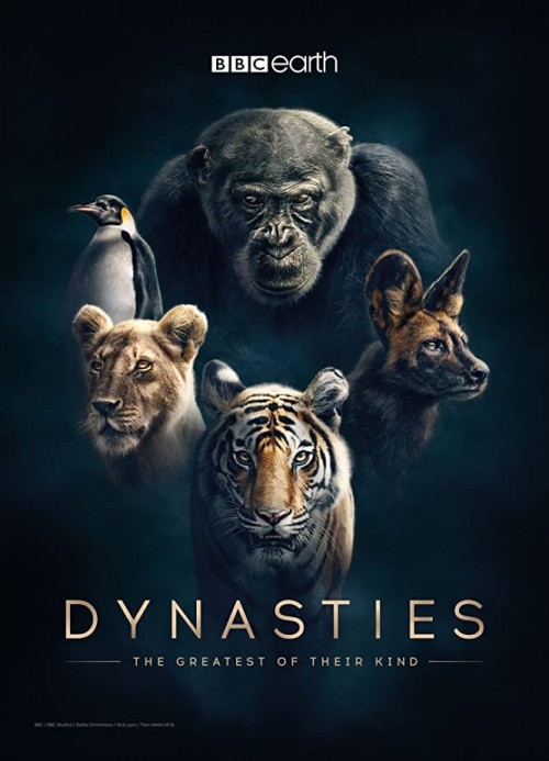 Dynasties 2018 S01 720p 10bit BluRay x265 budgetbits