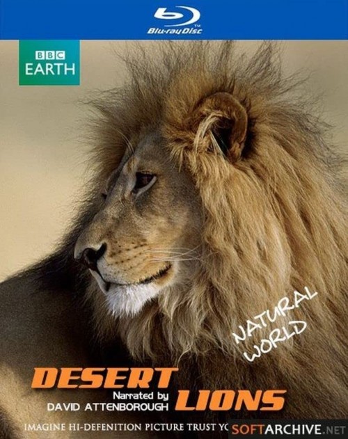 Natural World S25E14 Desert Lions 720p 10bit BluRay x265 budgetbits