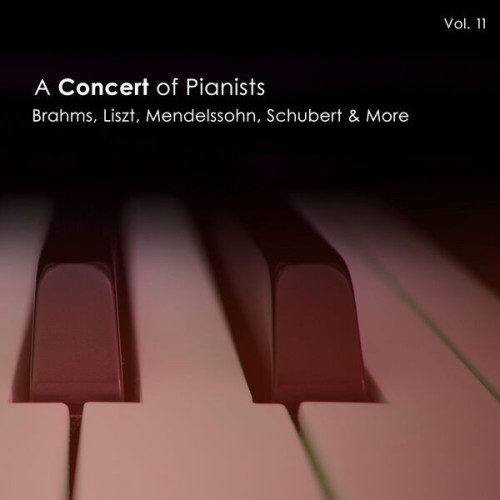 A Concert of Pianists Vol, II: Brahms, Liszt, Mendelssohn etc.