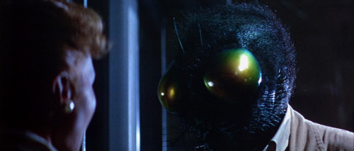 the fly 1958 10