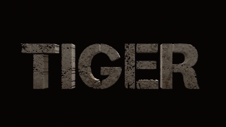 tiger 3 salman khan tiger