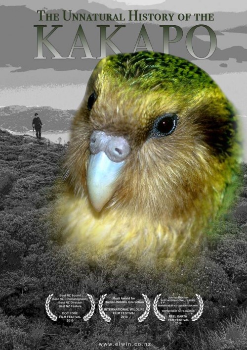 The Unnatural History of the Kakapo 2009 10bit DVDRip x265 budgetbits